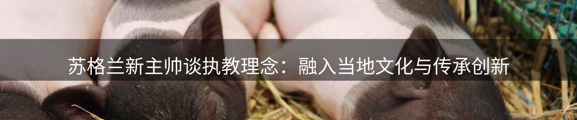 资讯动态
